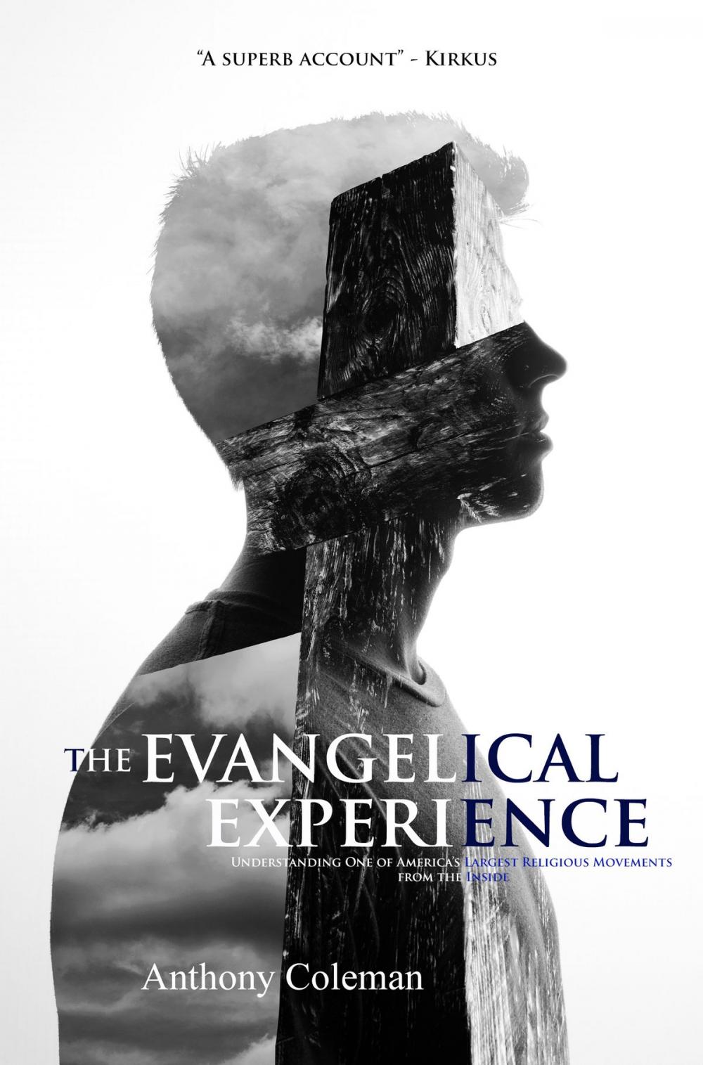 Big bigCover of The Evangelical Experience