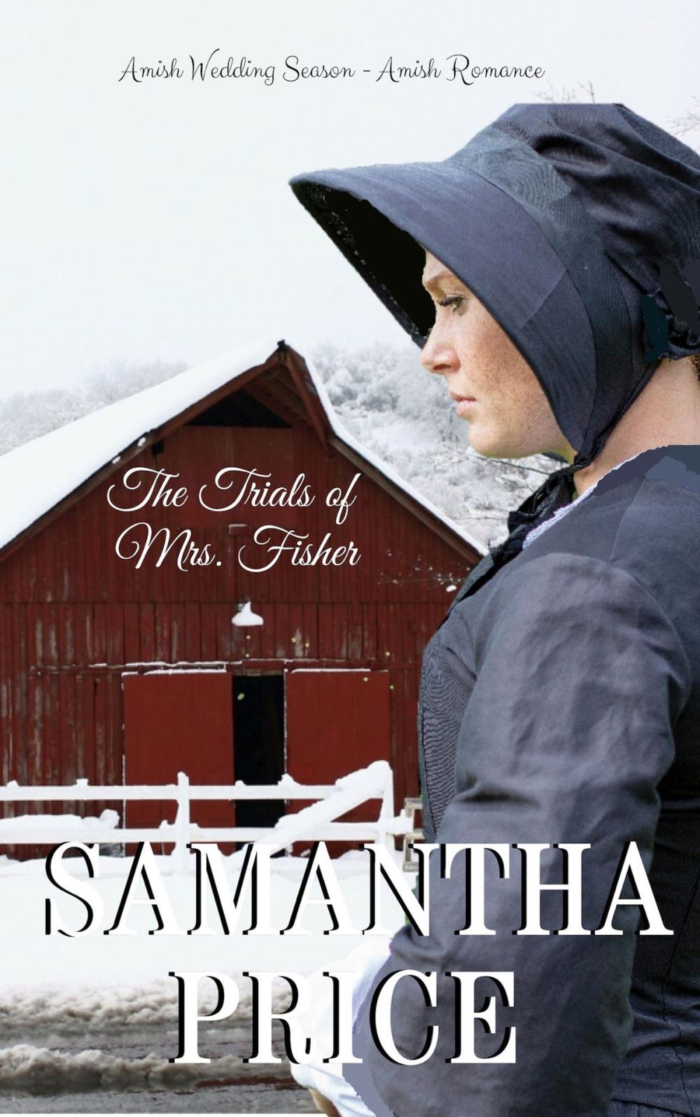 Big bigCover of The Trials of Mrs. Fisher