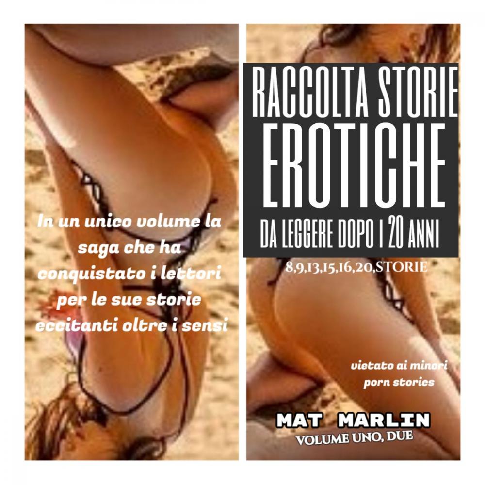 Big bigCover of Raccolta Storie Erotiche da leggere dopo i 20 anni (porn stories)