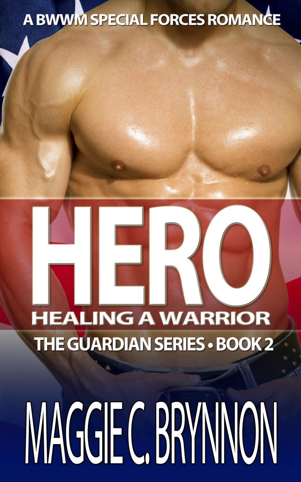 Big bigCover of Hero: Healing a Warrior, Book 2