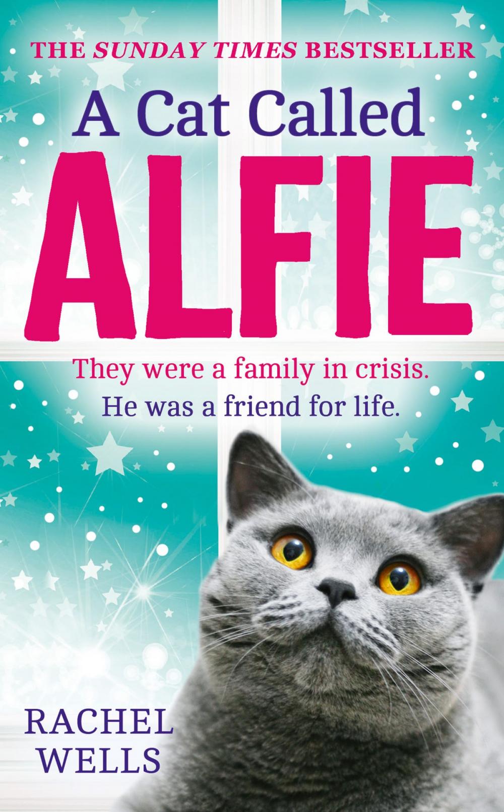 Big bigCover of A Cat Called Alfie