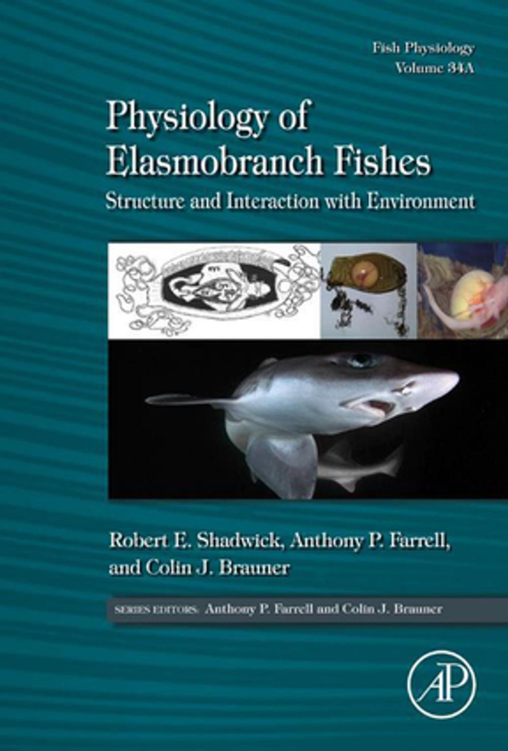 Big bigCover of Physiology of Elasmobranch Fishes: Structure and Interaction with Environment