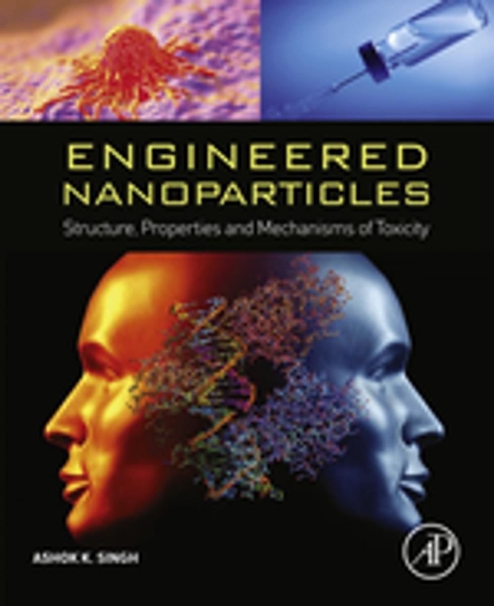 Big bigCover of Engineered Nanoparticles