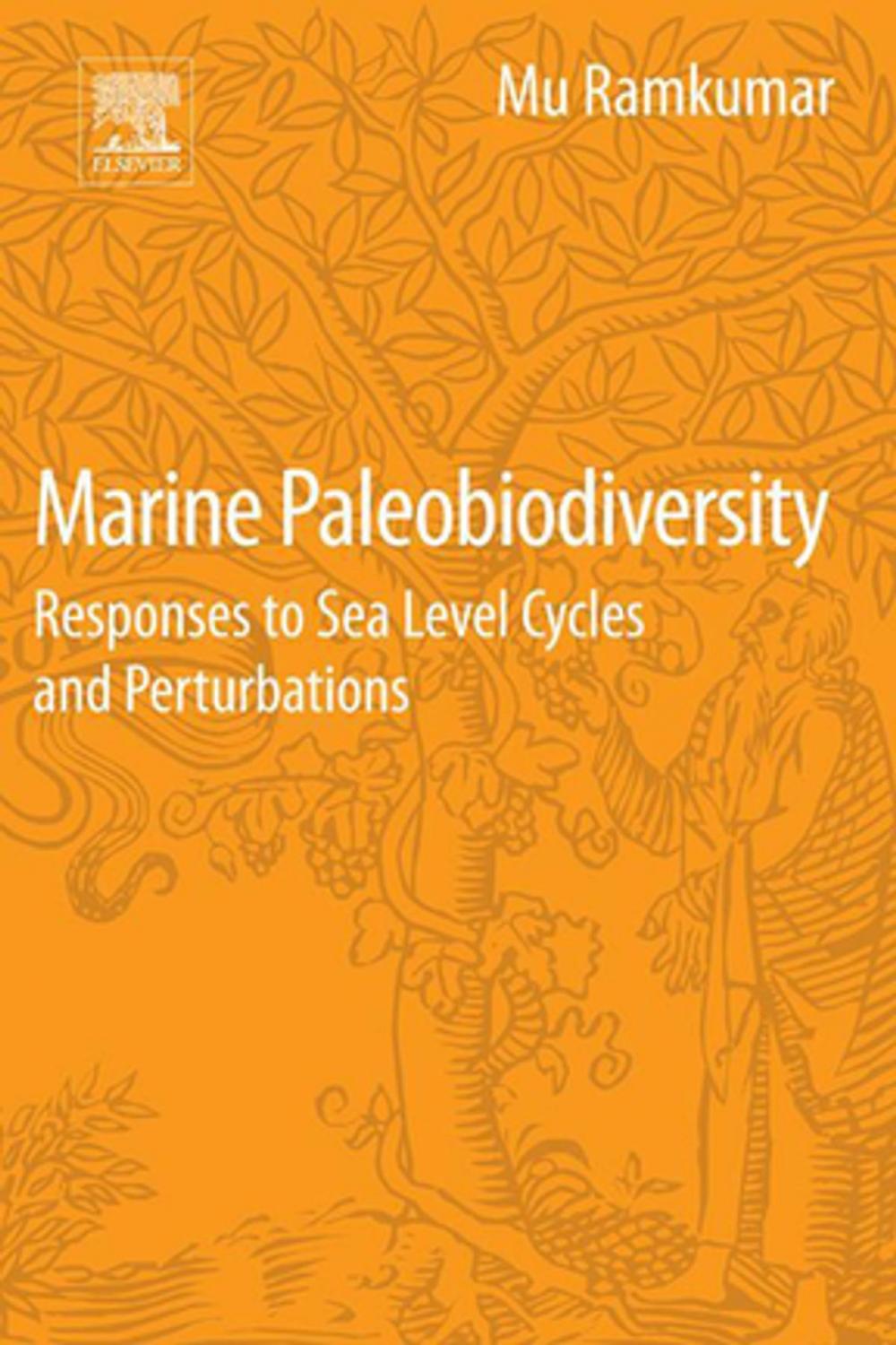 Big bigCover of Marine Paleobiodiversity