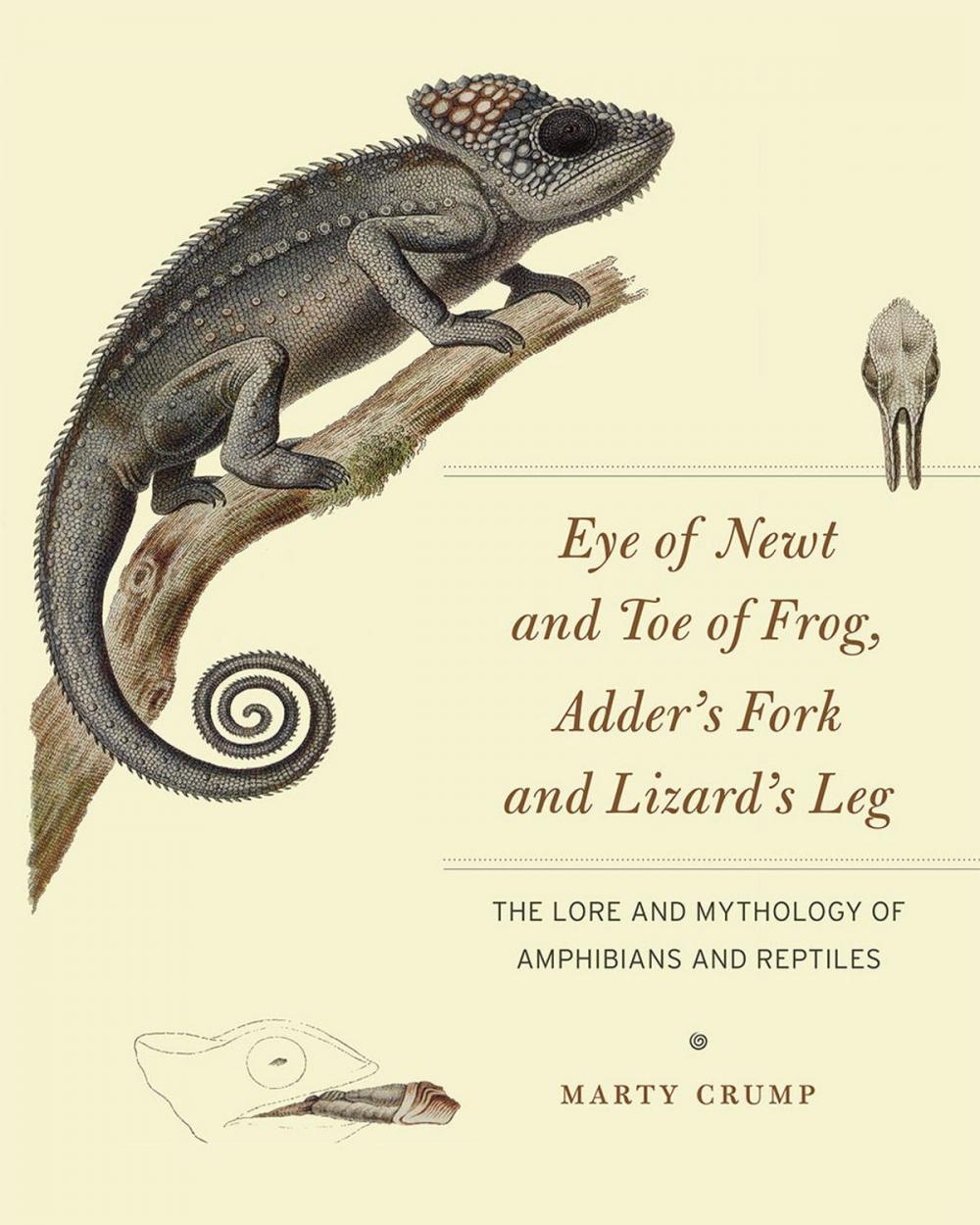 Big bigCover of Eye of Newt and Toe of Frog, Adder's Fork and Lizard's Leg