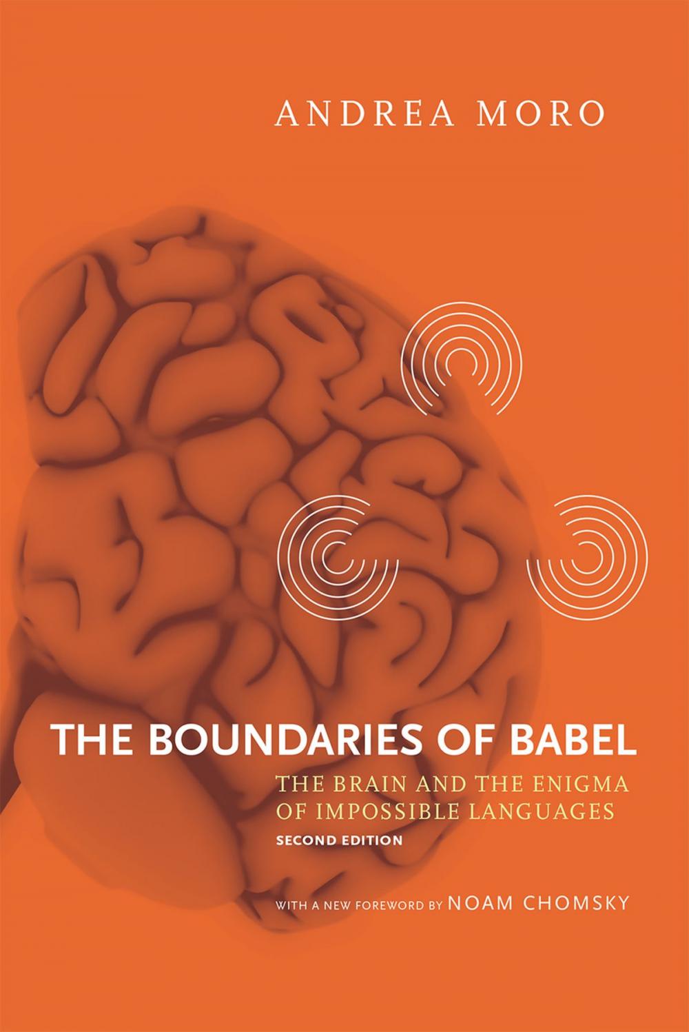 Big bigCover of The Boundaries of Babel