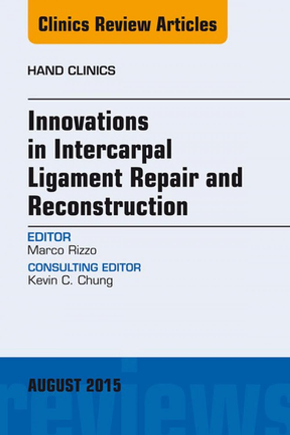 Big bigCover of Innovations in Intercarpal Ligament Repair and Reconstruction, E-Book