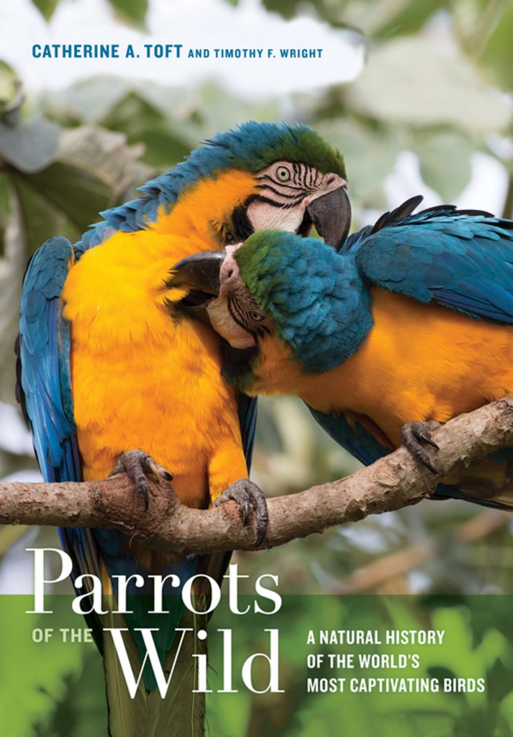 Big bigCover of Parrots of the Wild