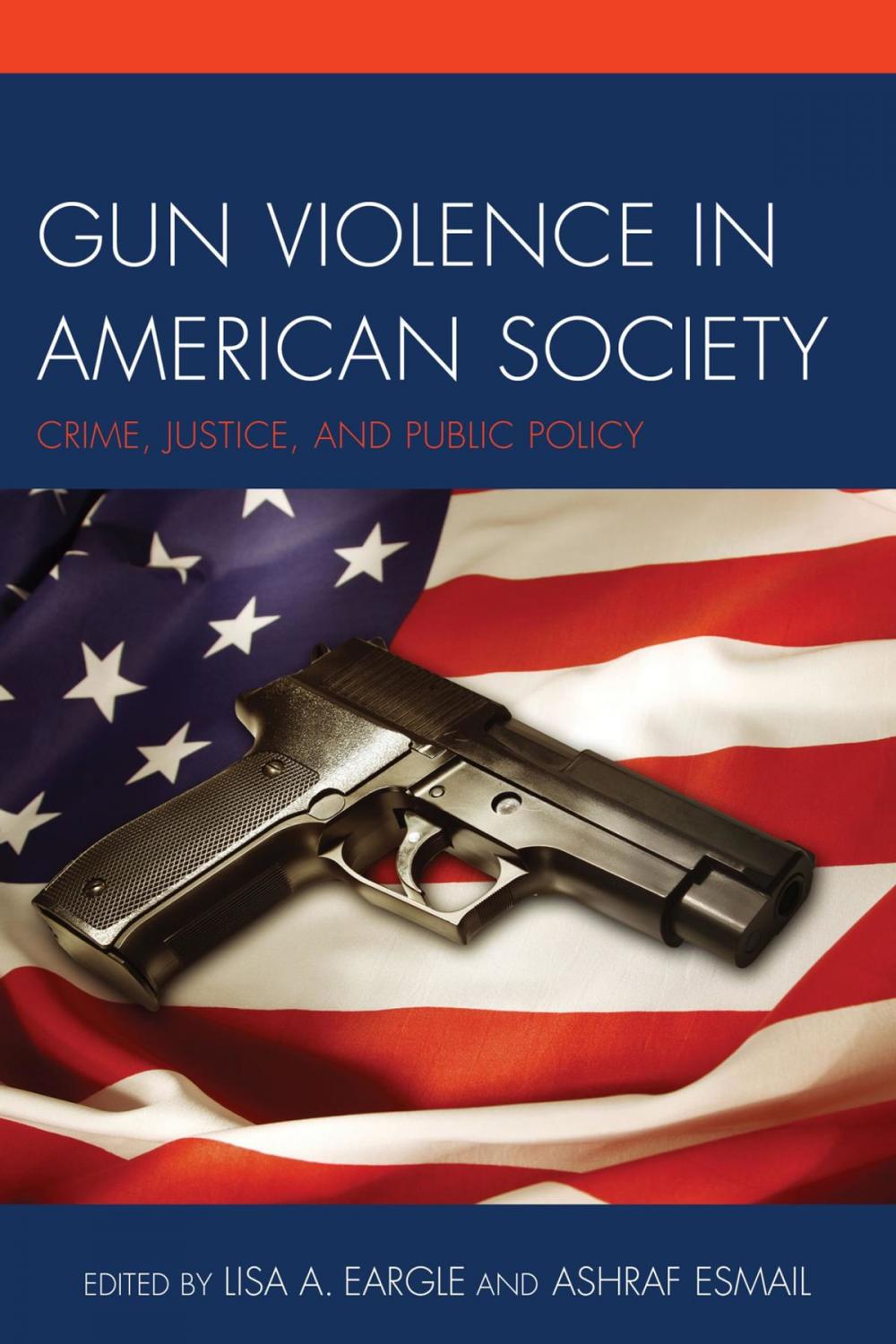 Big bigCover of Gun Violence in American Society