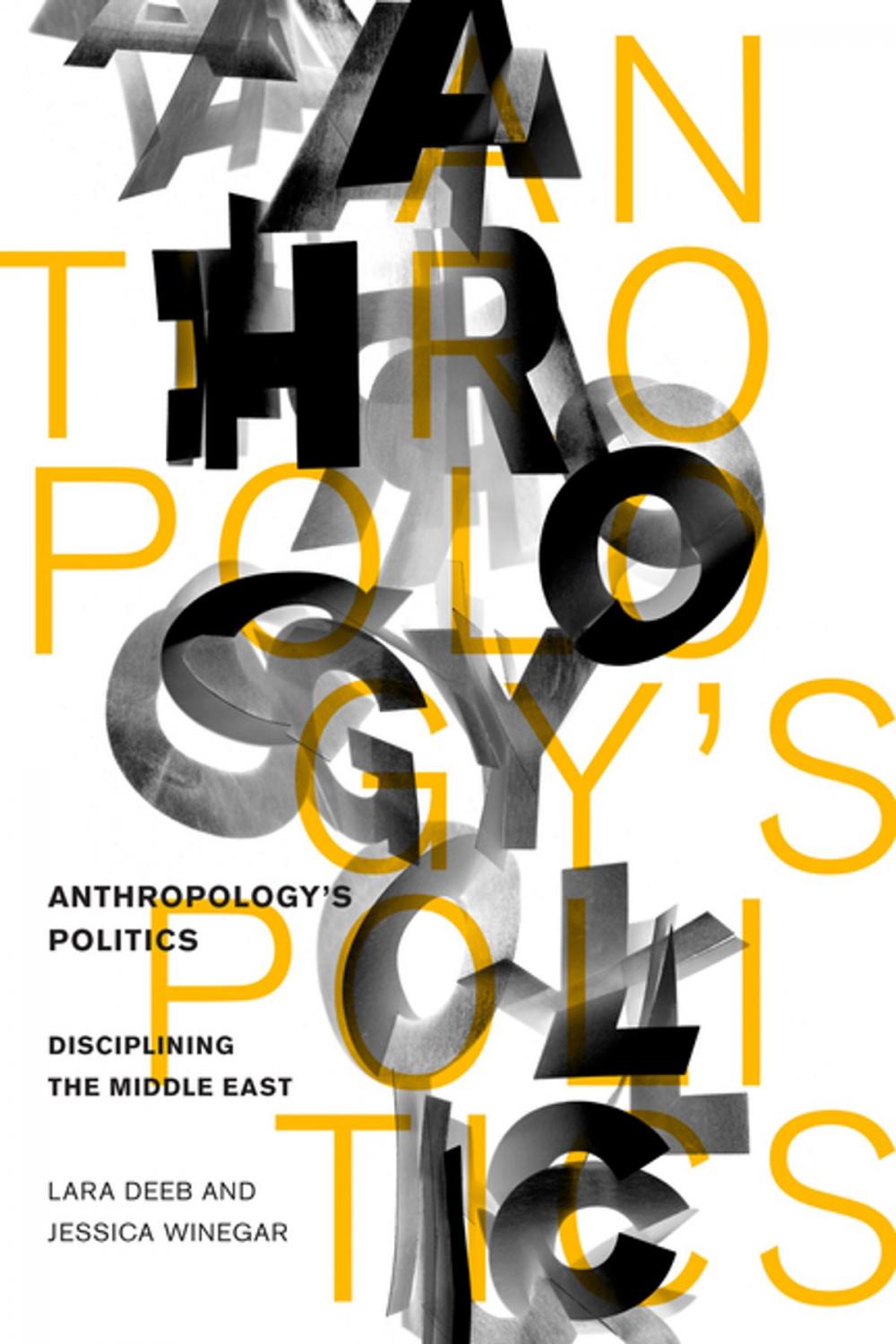 Big bigCover of Anthropology's Politics