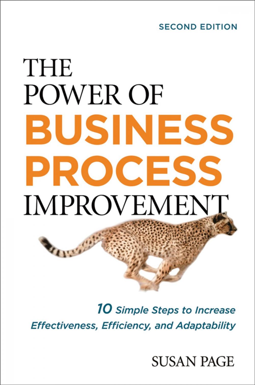 Big bigCover of The Power of Business Process Improvement