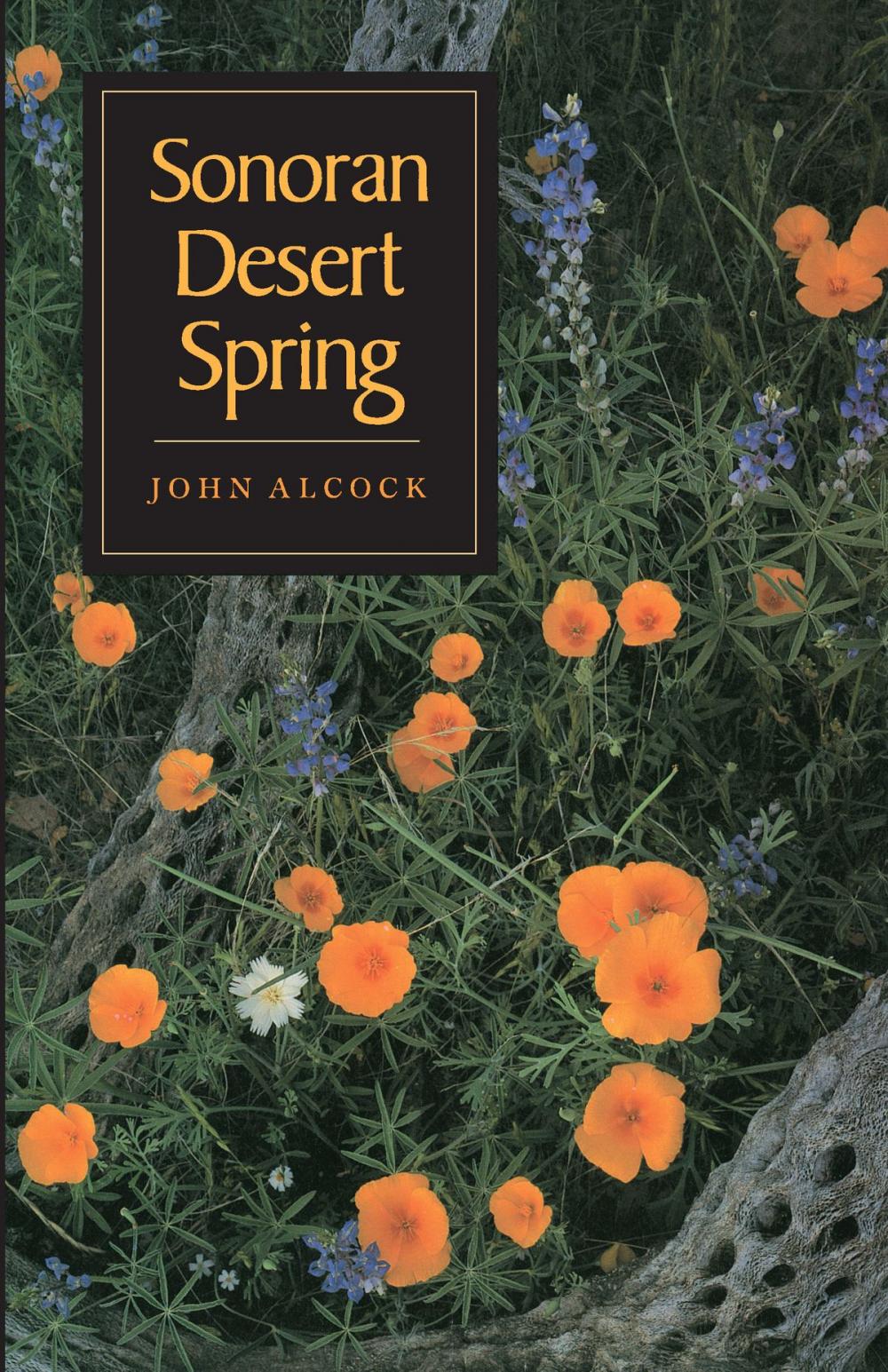 Big bigCover of Sonoran Desert Spring