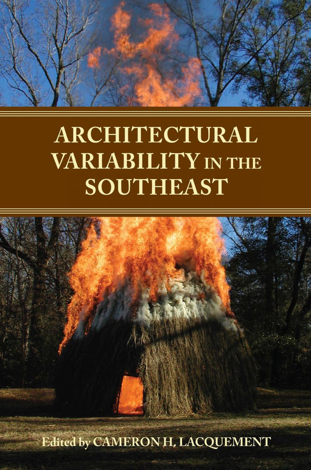 Big bigCover of Architectural Variability in the Southeast