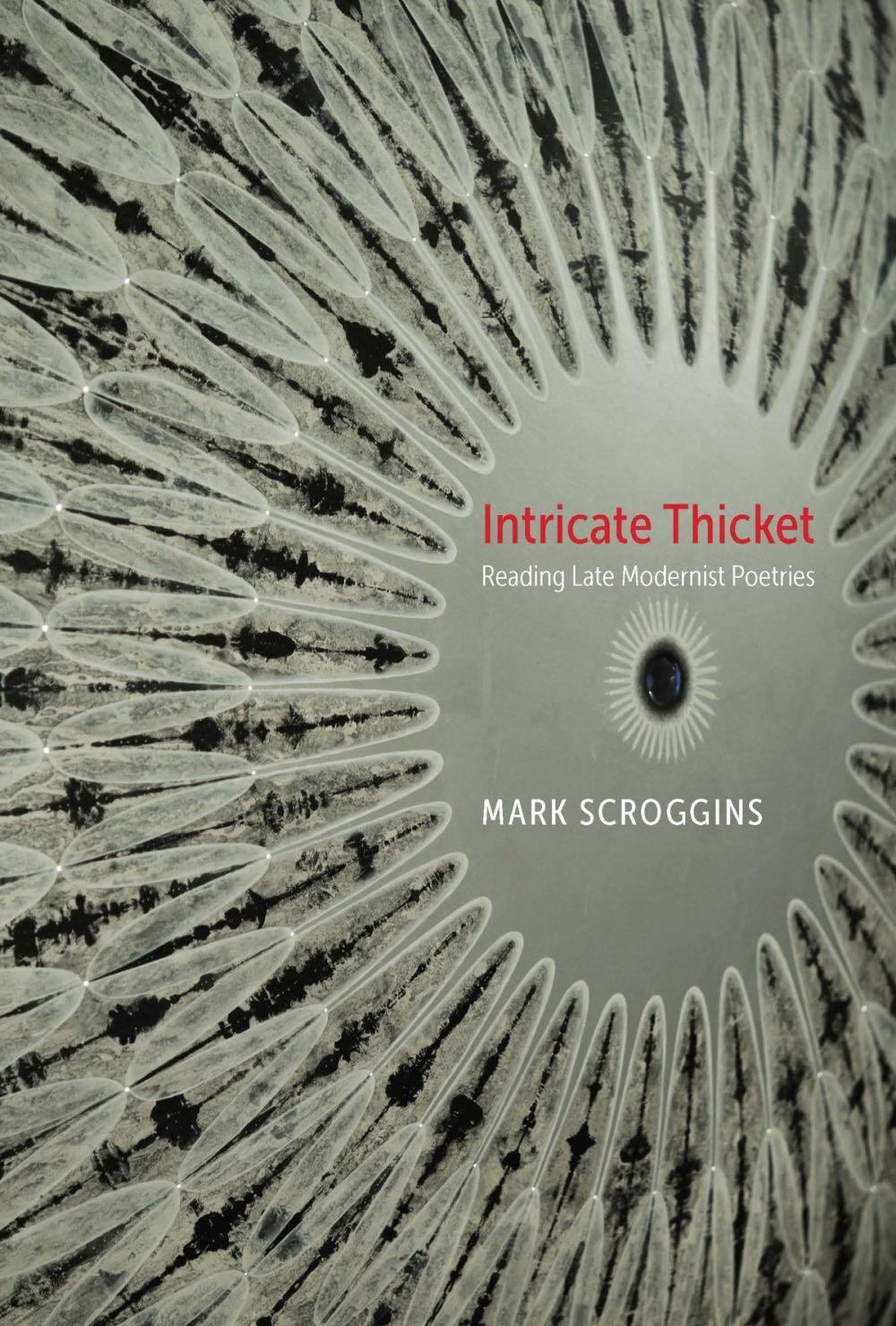 Big bigCover of Intricate Thicket