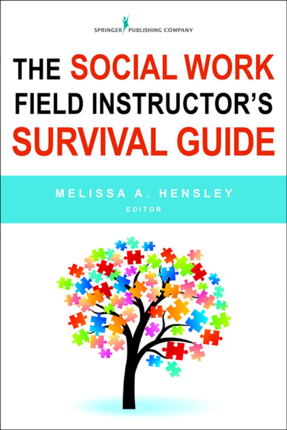 Big bigCover of The Social Work Field Instructor's Survival Guide