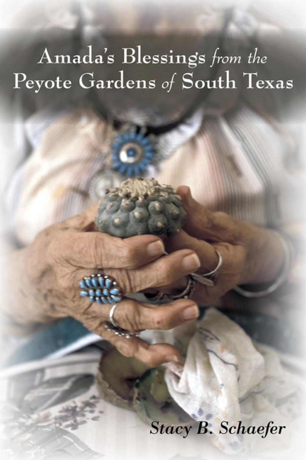 Big bigCover of Amada's Blessings from the Peyote Gardens of South Texas