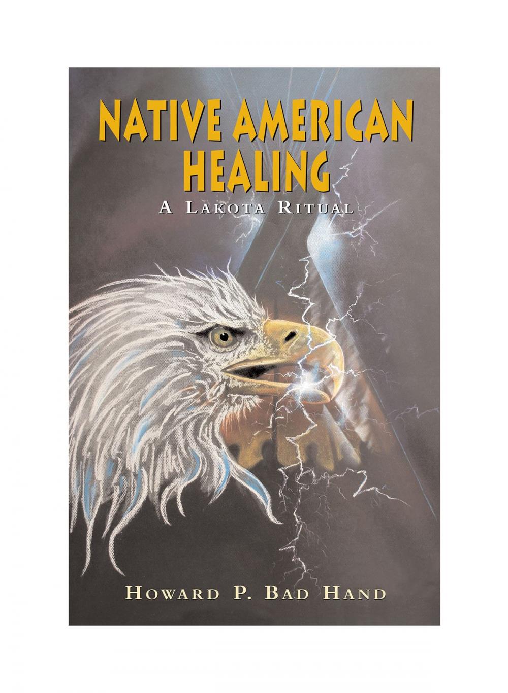 Big bigCover of Native American Healing