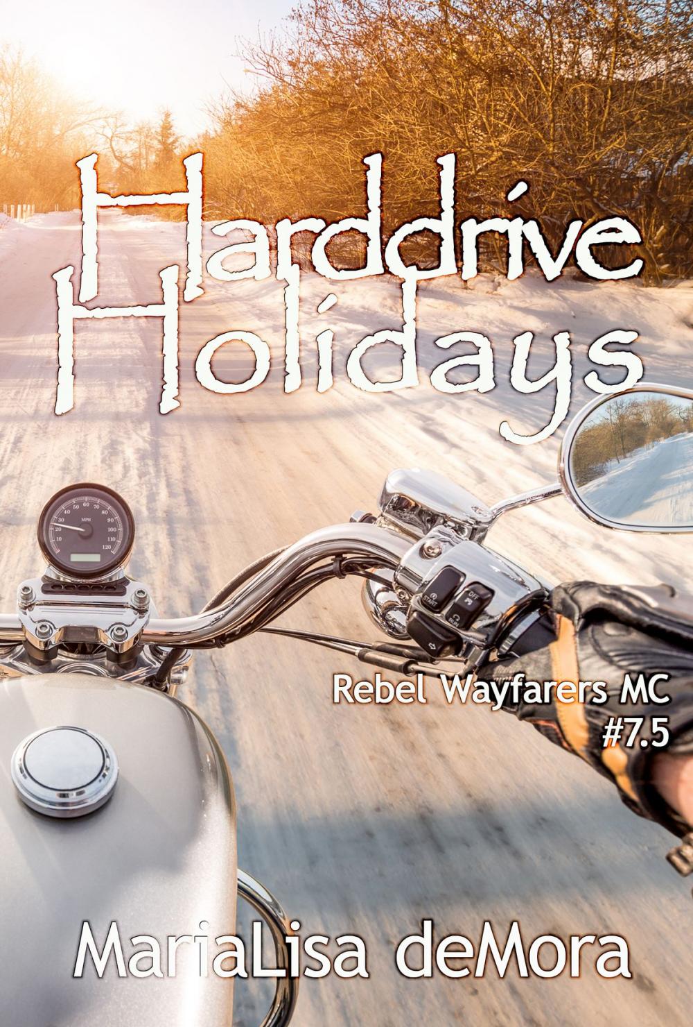 Big bigCover of Harddrive Holidays