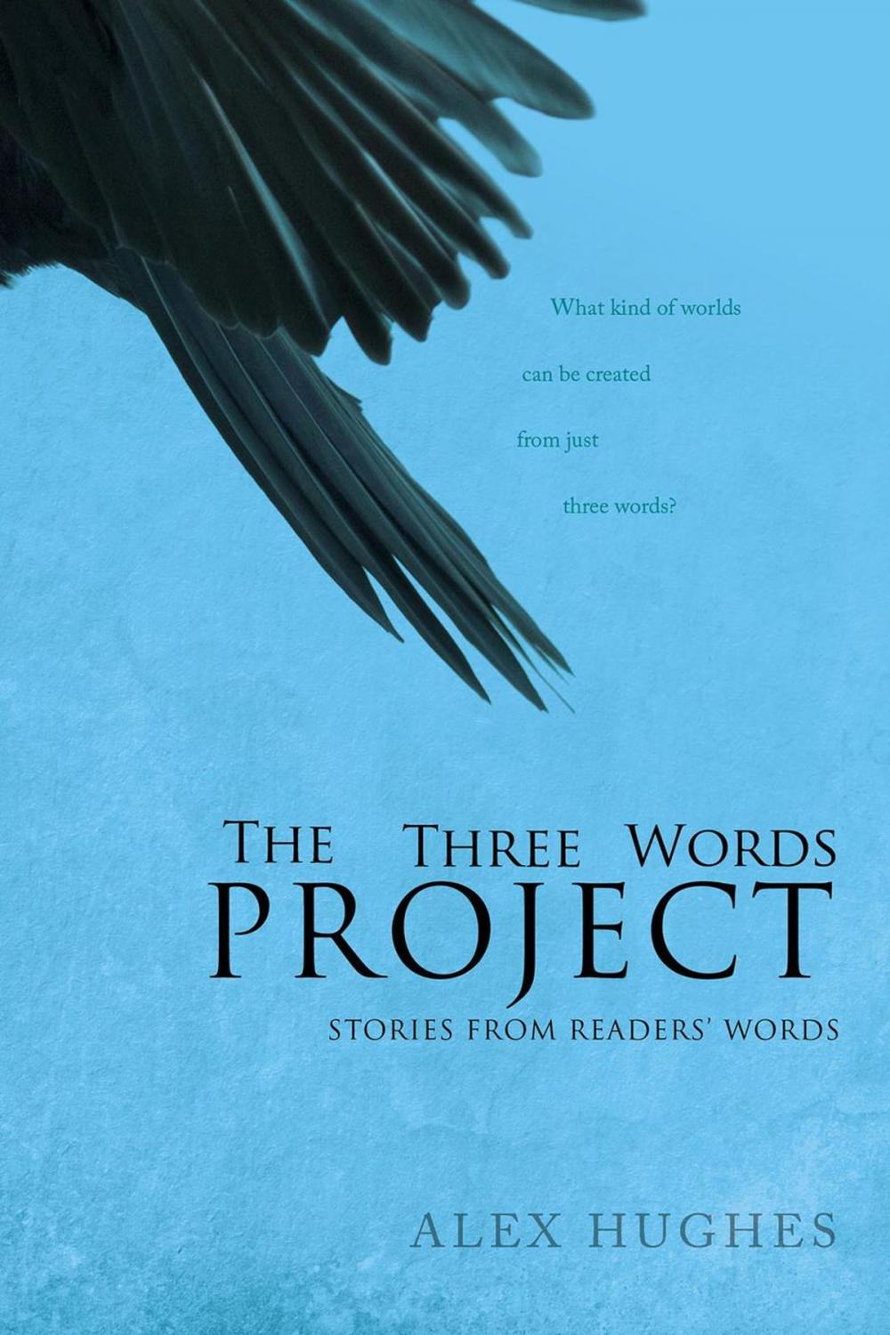 Big bigCover of The Three Words Project: Short Stories Inspired by Readers