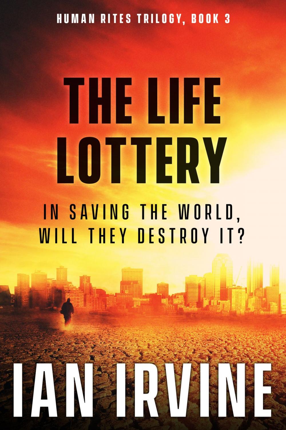 Big bigCover of The Life Lottery