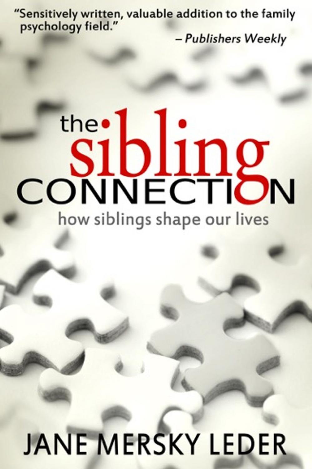 Big bigCover of The Sibling Connection