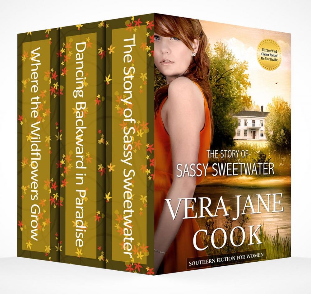 Big bigCover of Southern Fiction Box Set