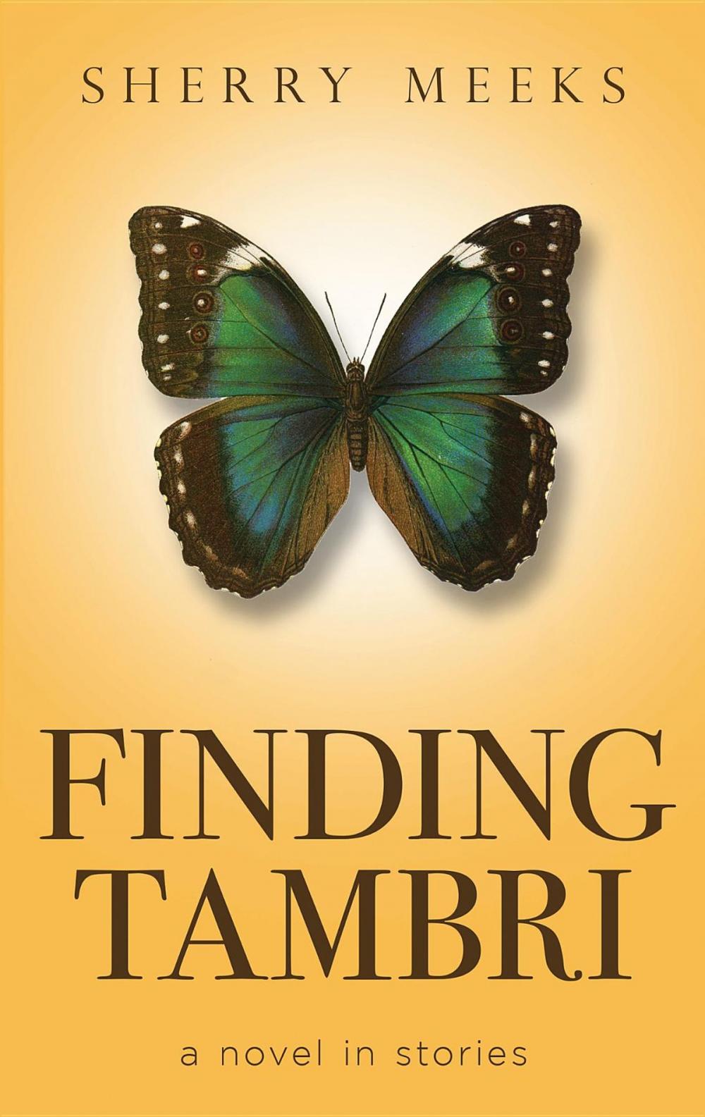 Big bigCover of Finding Tambri