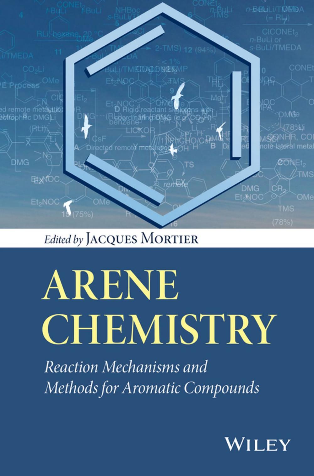 Big bigCover of Arene Chemistry