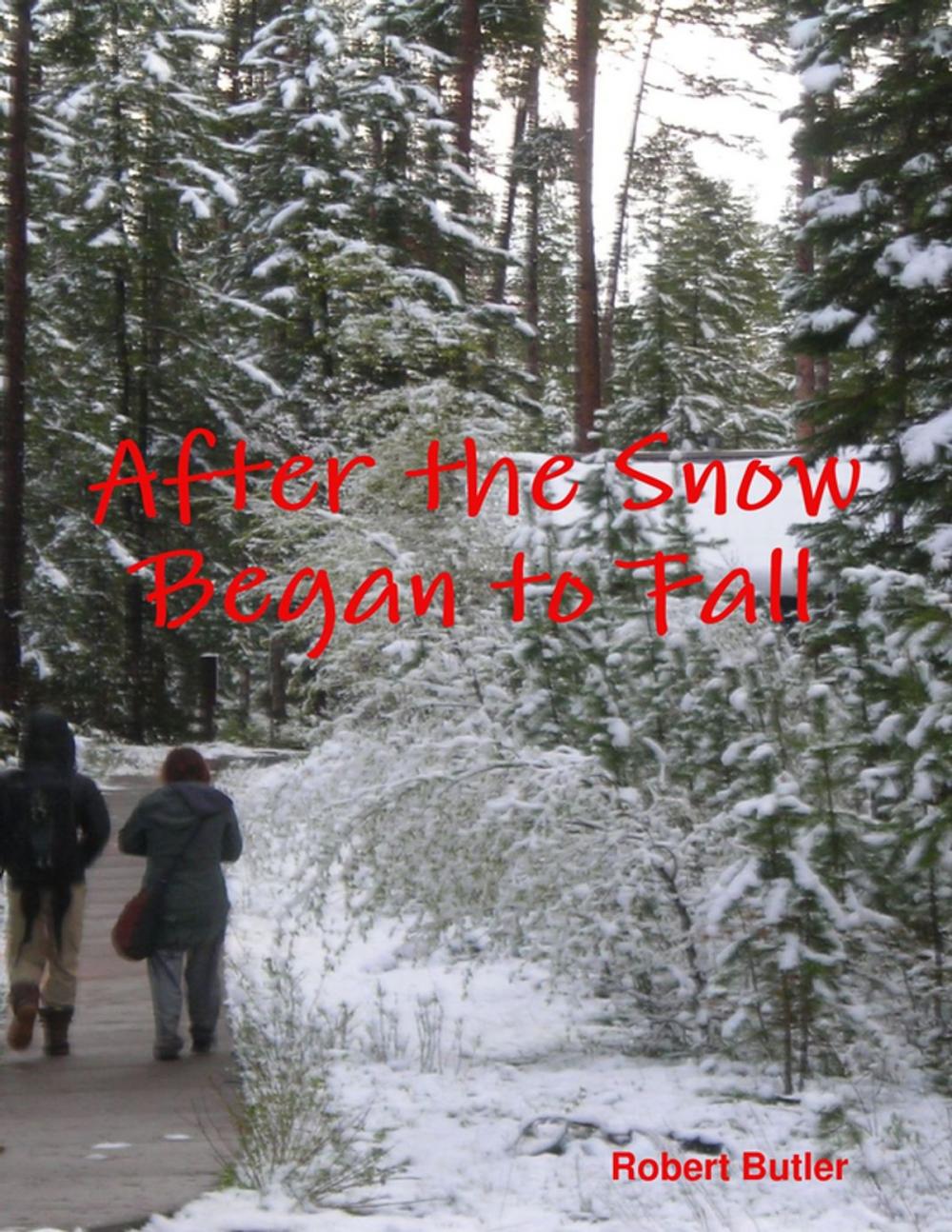 Big bigCover of After the Snow Began to Fall