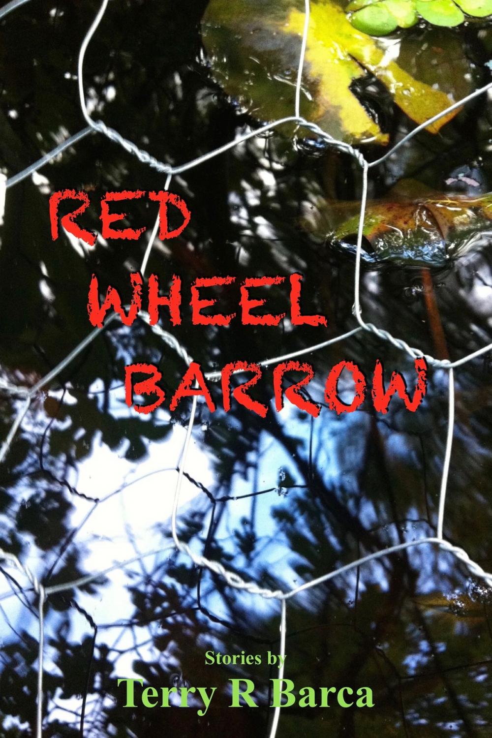 Big bigCover of Red Wheelbarrow