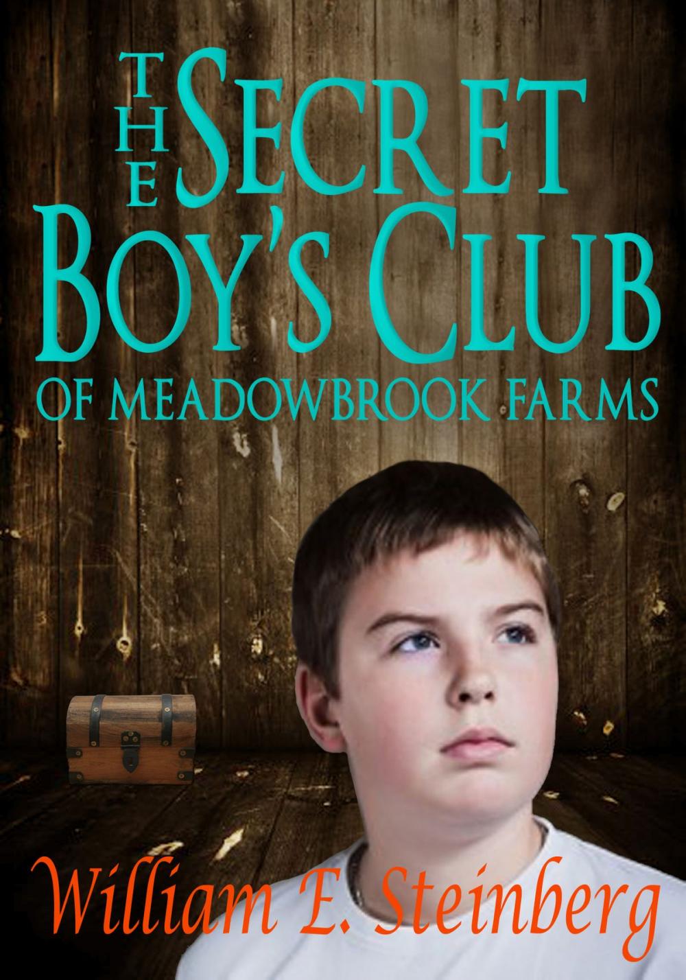 Big bigCover of The Secret Boy's Club of Meadowbrook Farms