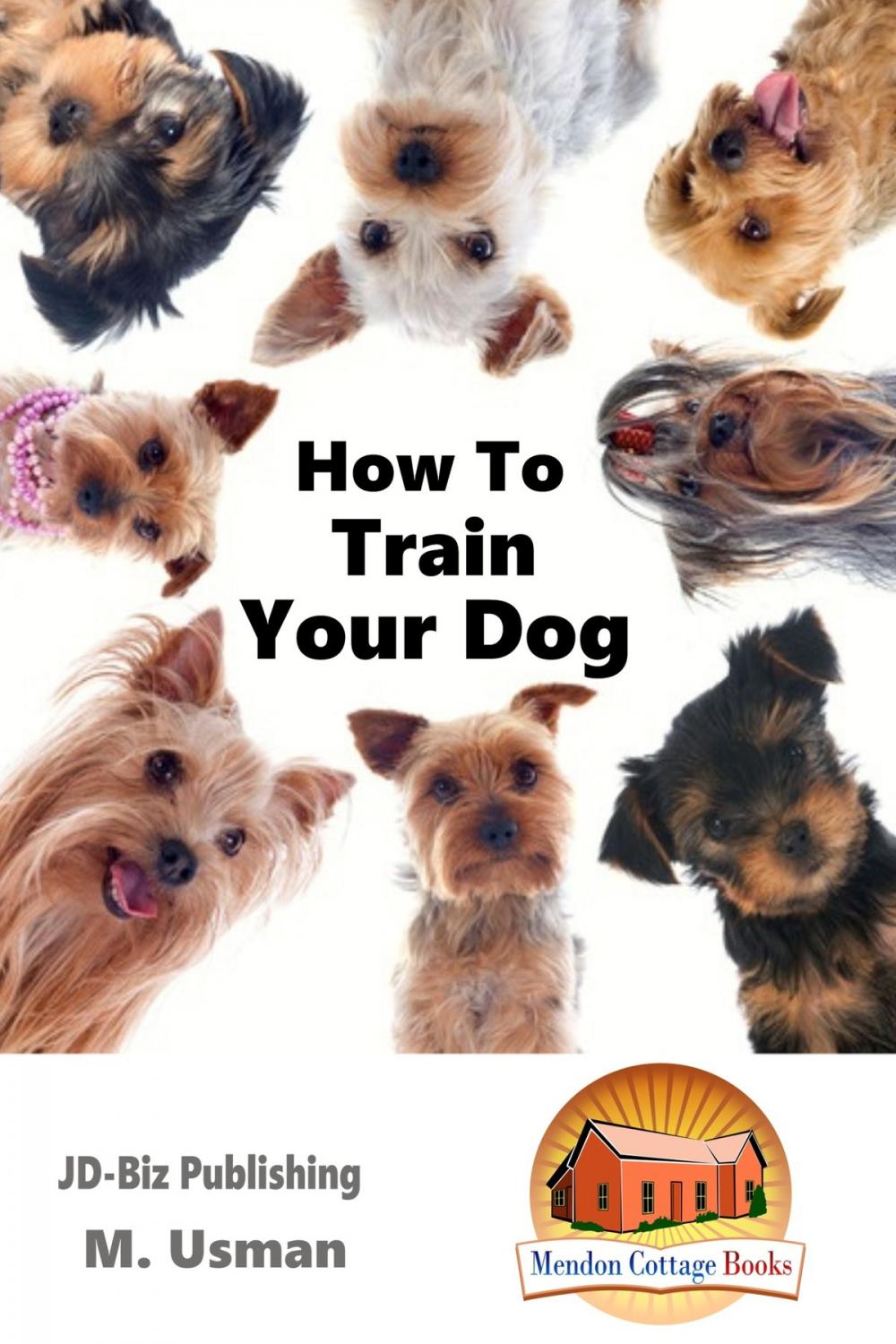 Big bigCover of How To Train Your Dog