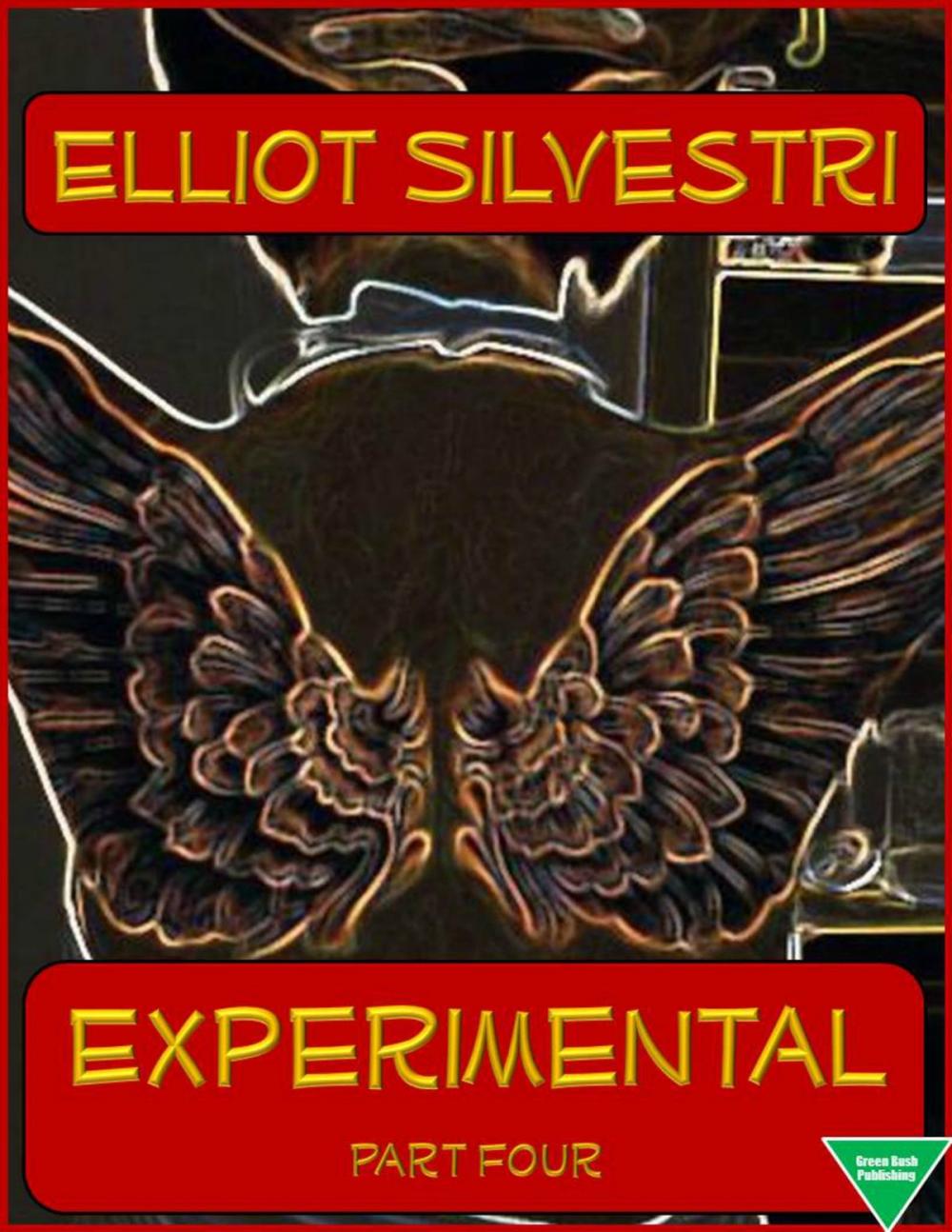 Big bigCover of Experimental Part Four