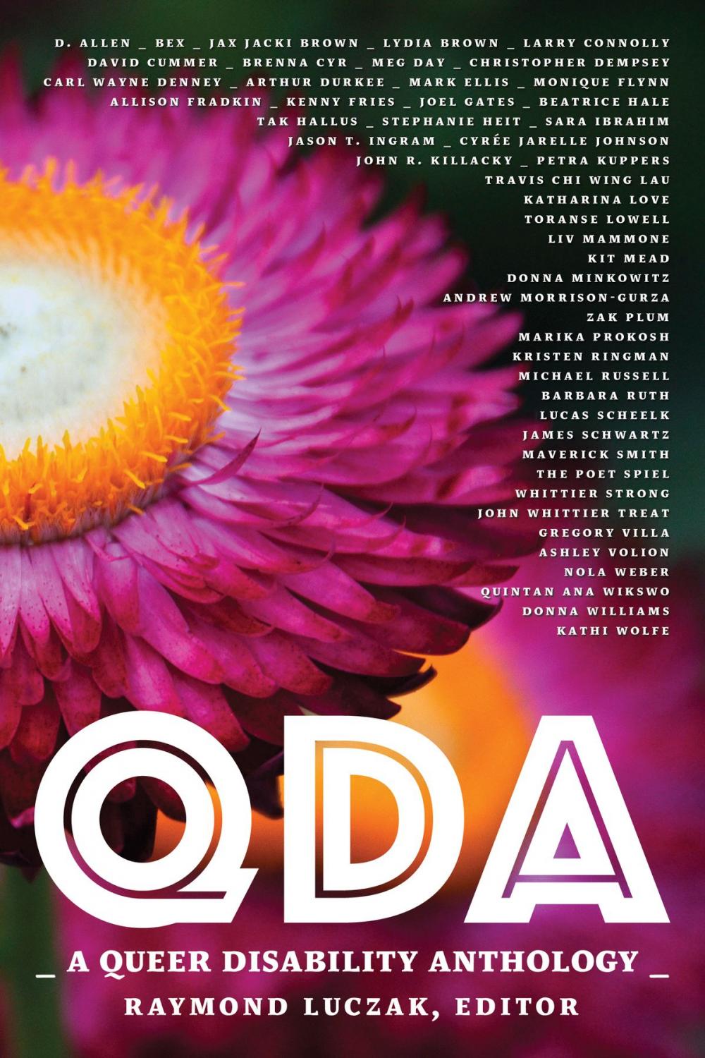 Big bigCover of QDA: A Queer Disability Anthology