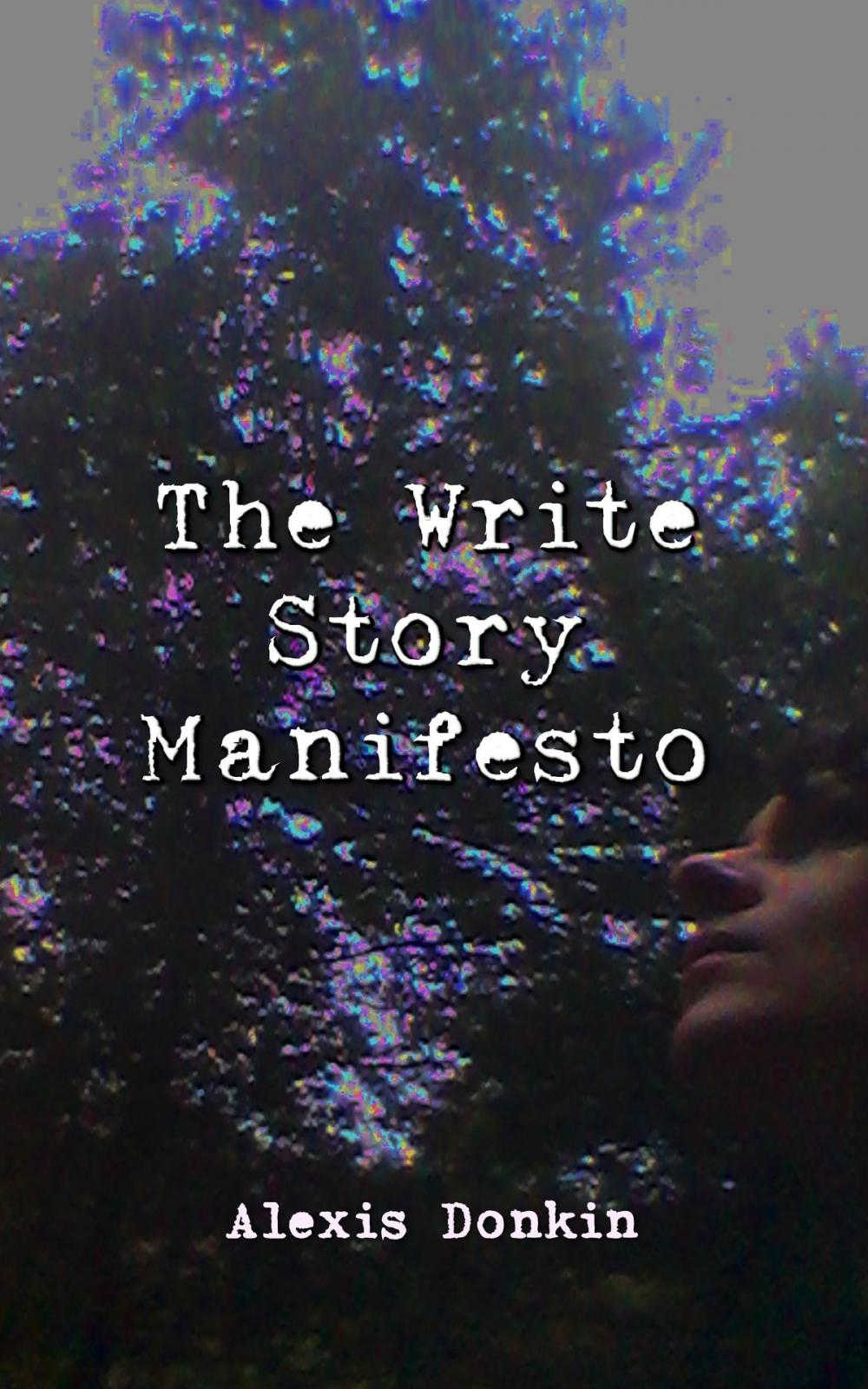 Big bigCover of The Write Story Manifesto