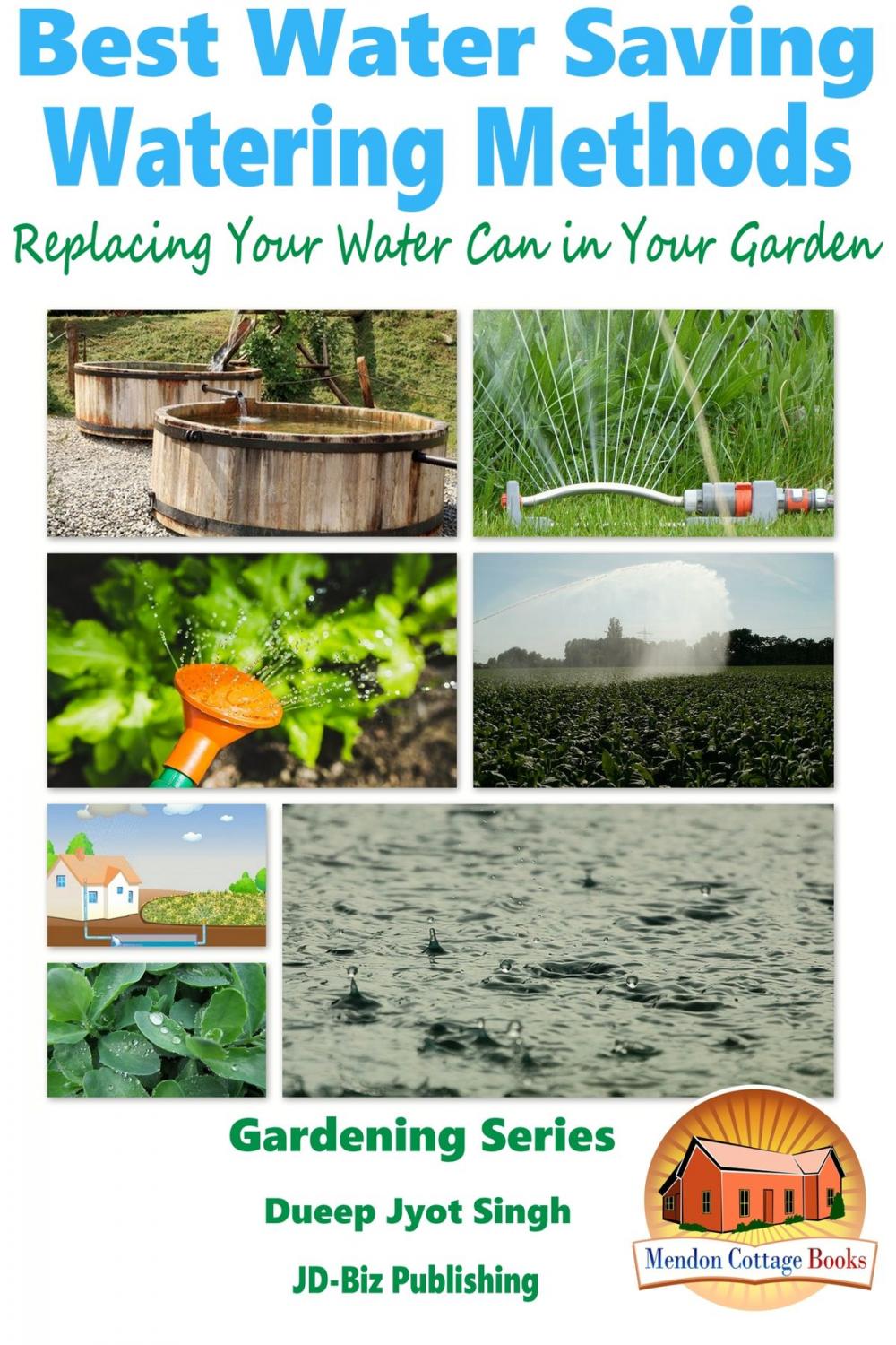 Big bigCover of Best Water Saving: Watering Methods - Replacing Your Water Can in Your Garden