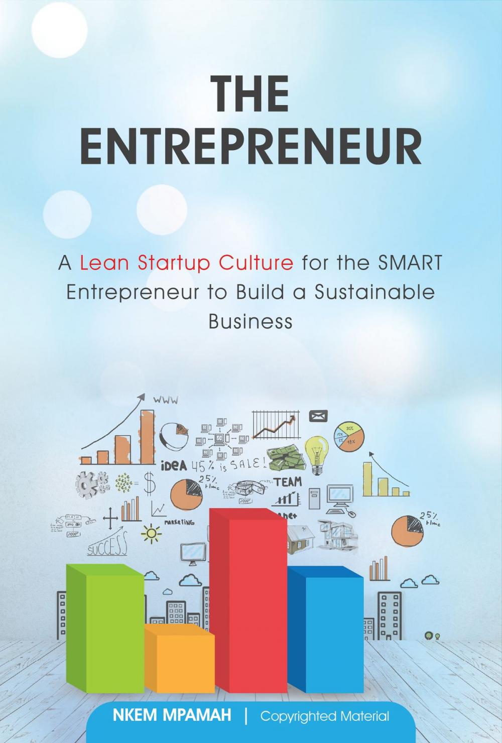 Big bigCover of The Entrepreneur: A Lean Startup Culture for Smart Entrepreneurs to Build a Sustainable Business