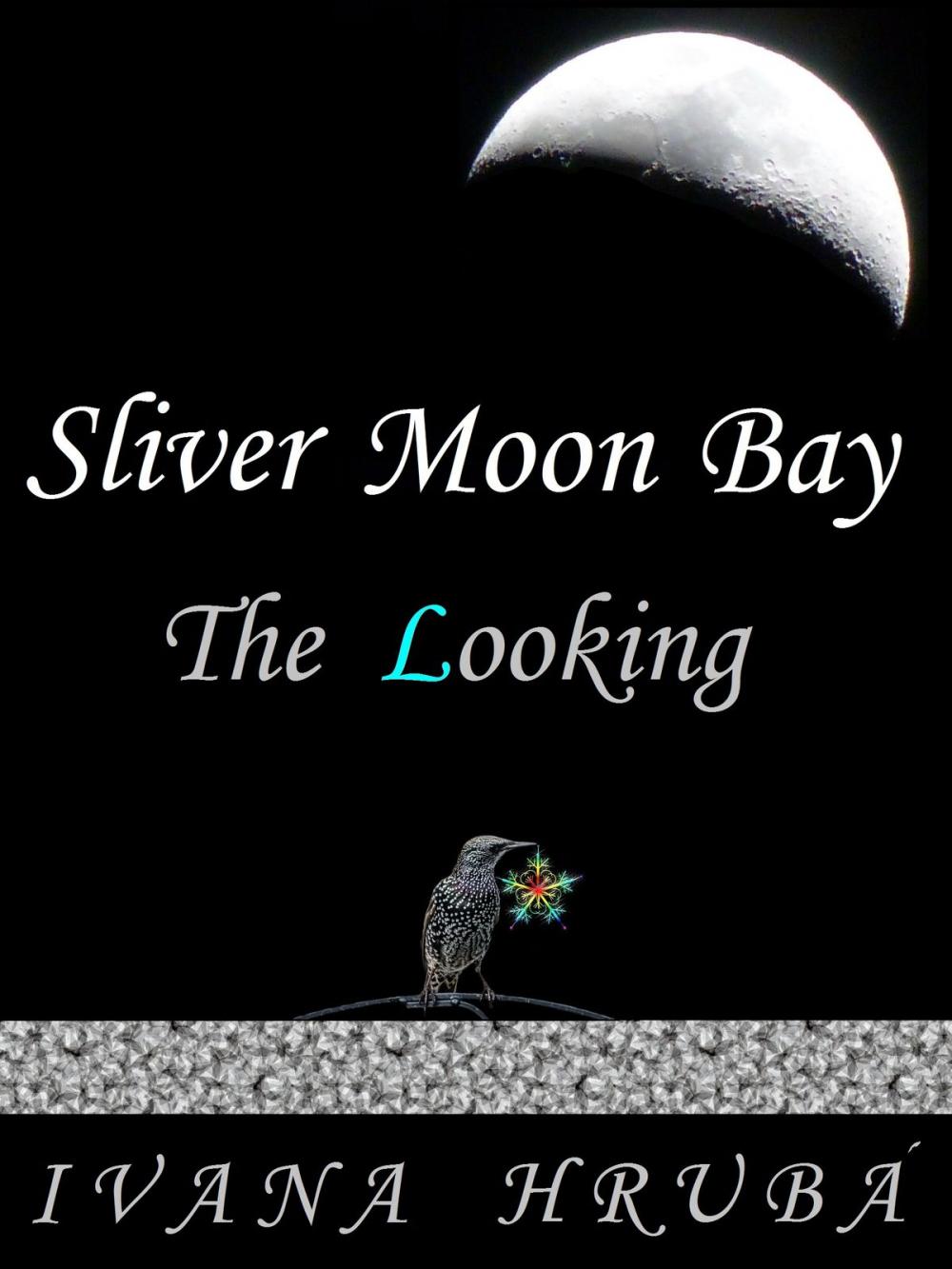 Big bigCover of Sliver Moon Bay: The Looking