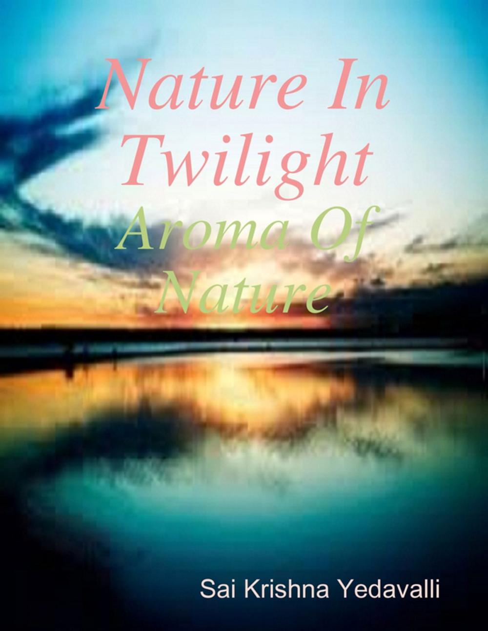 Big bigCover of Nature In Twilight