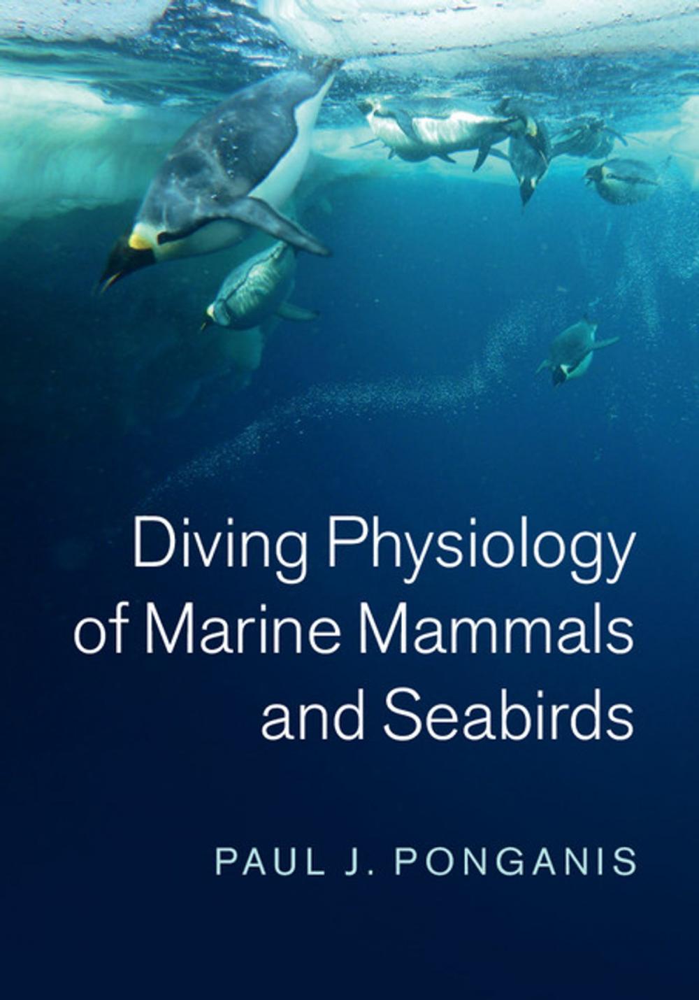 Big bigCover of Diving Physiology of Marine Mammals and Seabirds