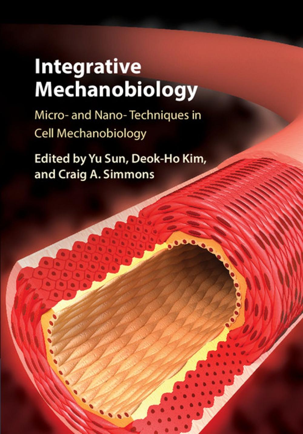 Big bigCover of Integrative Mechanobiology