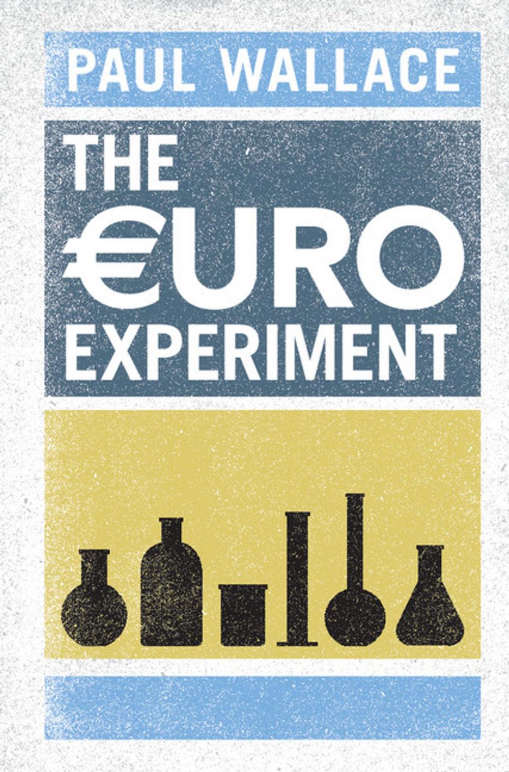 Big bigCover of The Euro Experiment