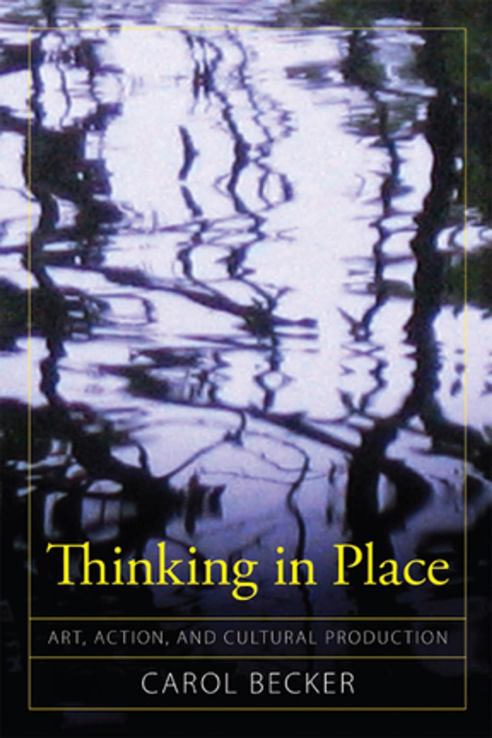 Big bigCover of Thinking in Place