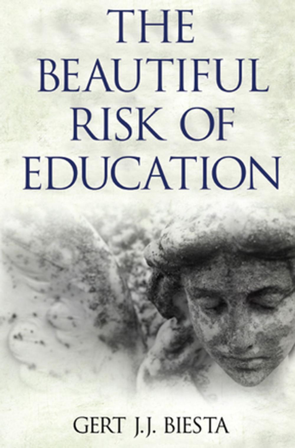 Big bigCover of Beautiful Risk of Education