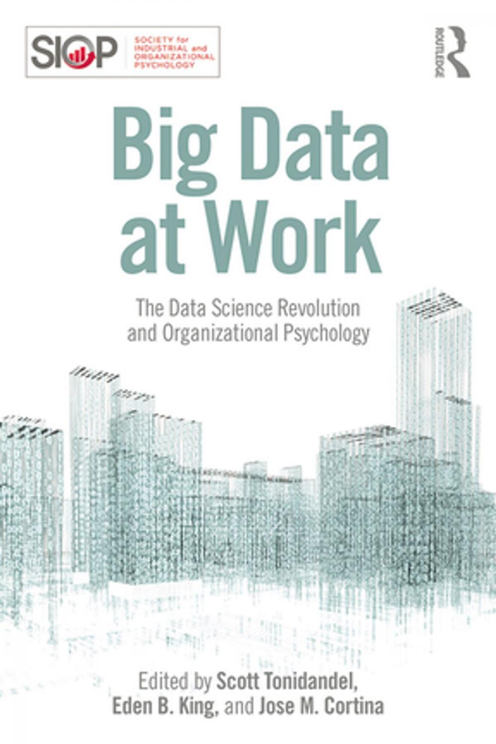 Big bigCover of Big Data at Work