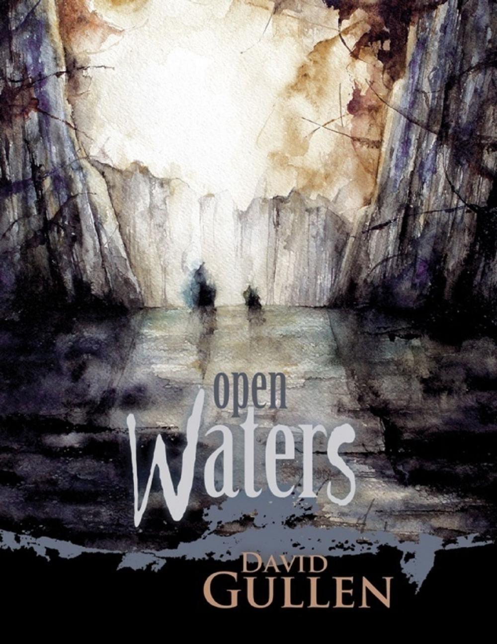 Big bigCover of Open Waters