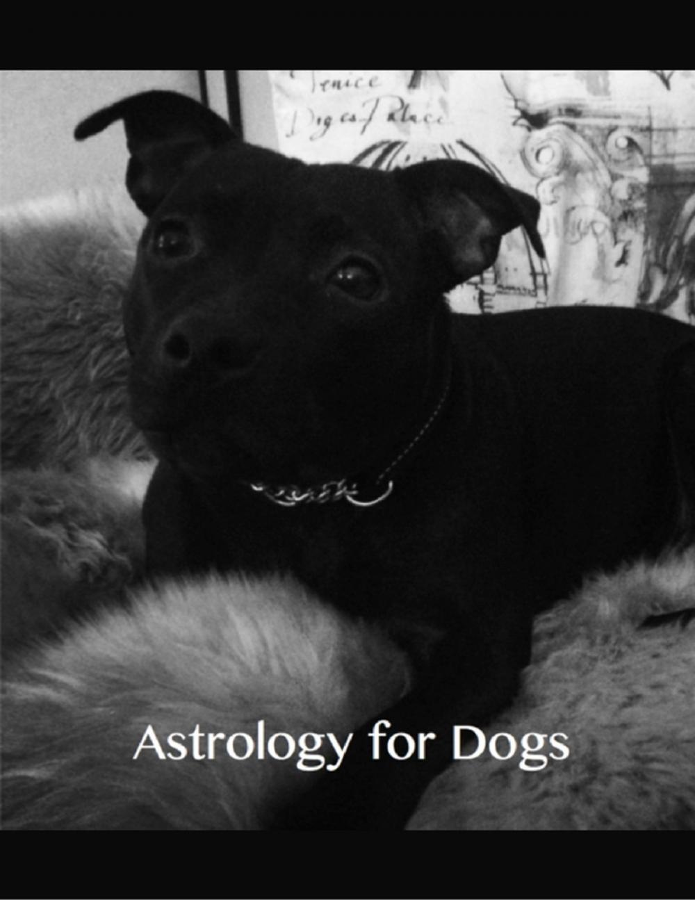 Big bigCover of Astrology for Dogs