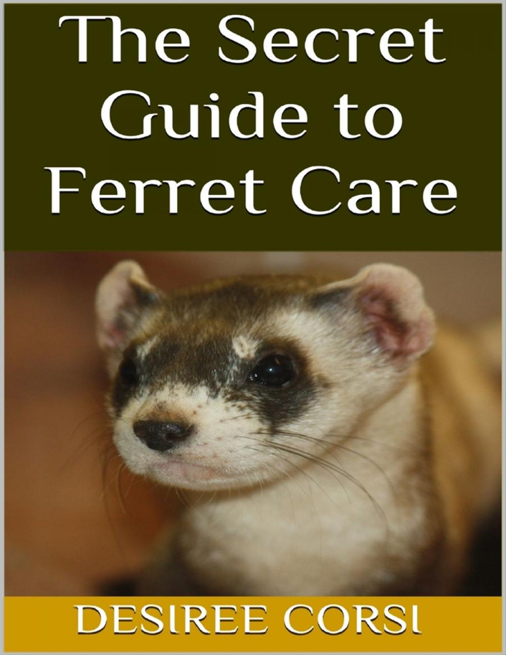 Big bigCover of The Secret Guide to Ferret Care