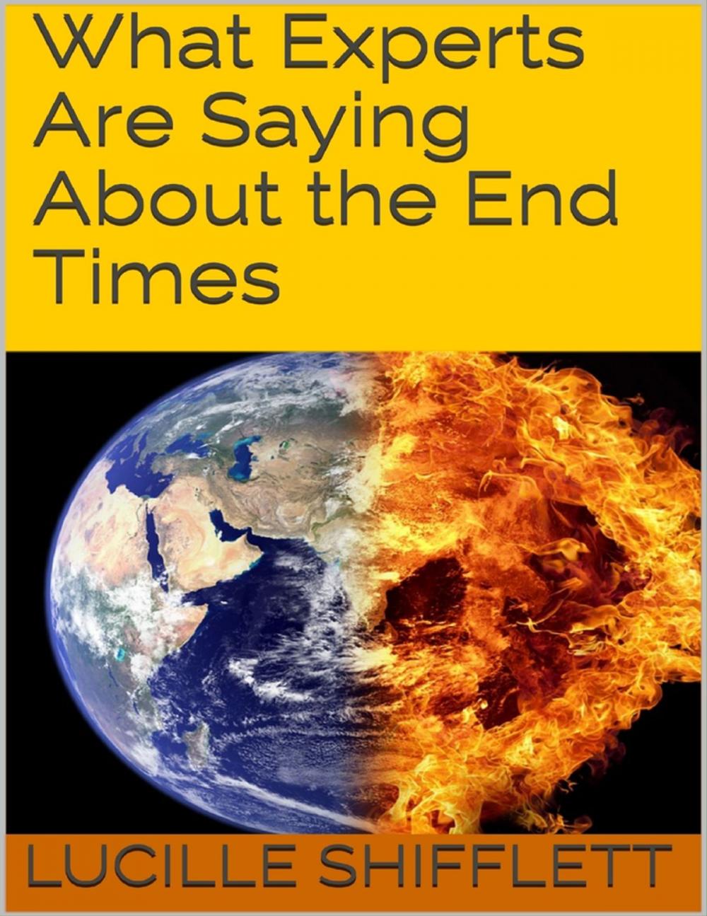 Big bigCover of What Experts Are Saying About the End Times