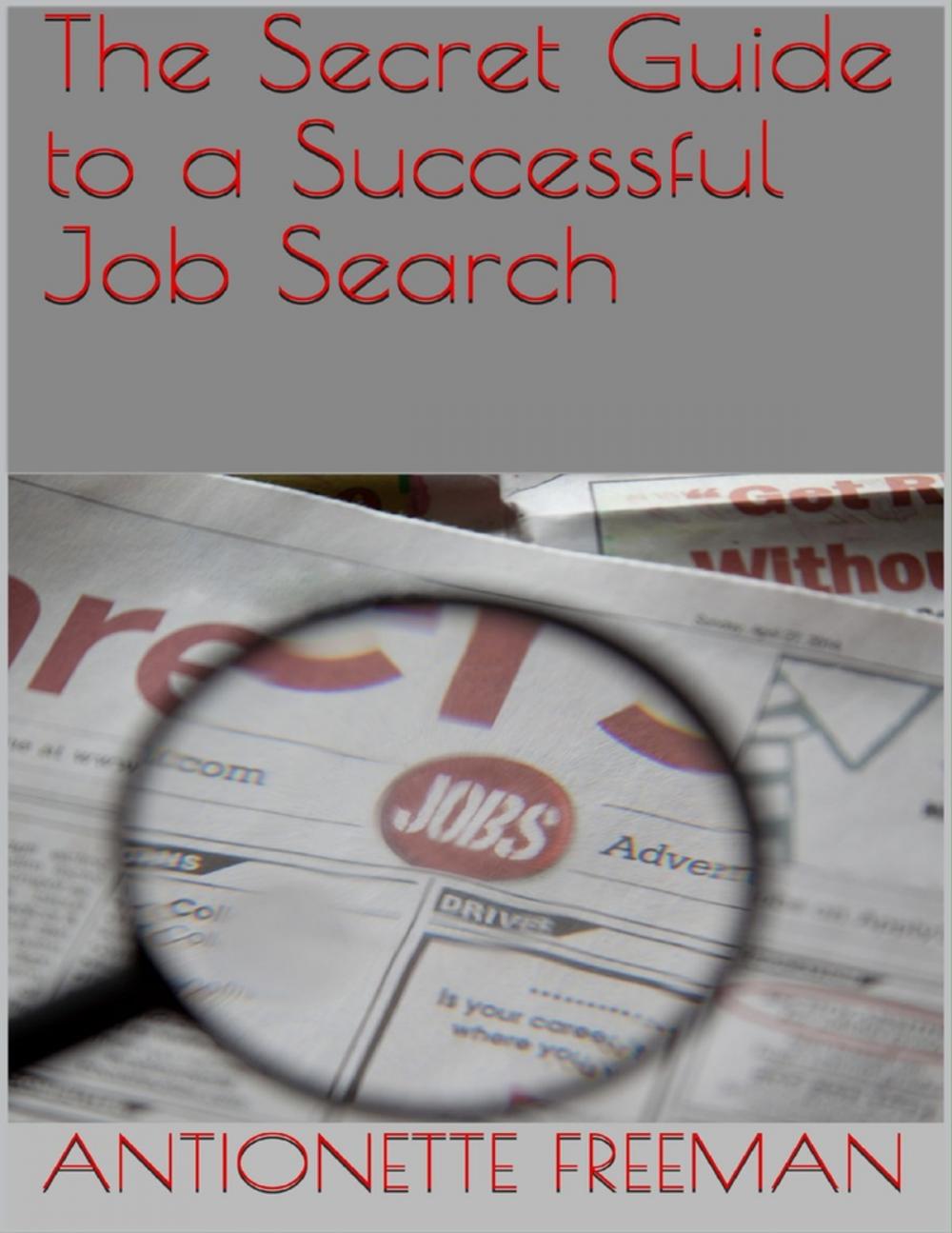 Big bigCover of The Secret Guide to a Successful Job Search